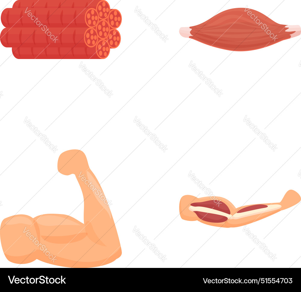 Set of depicting different types Set of depicting different types vector image