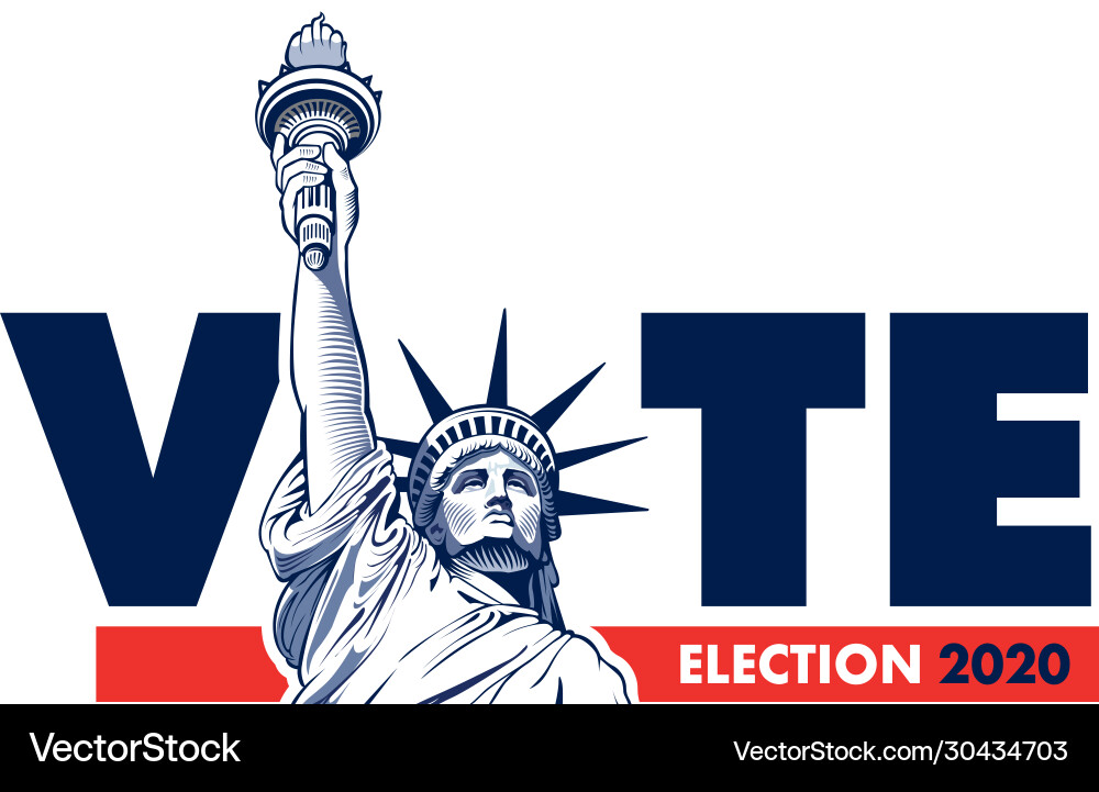 United states presidential election vector image