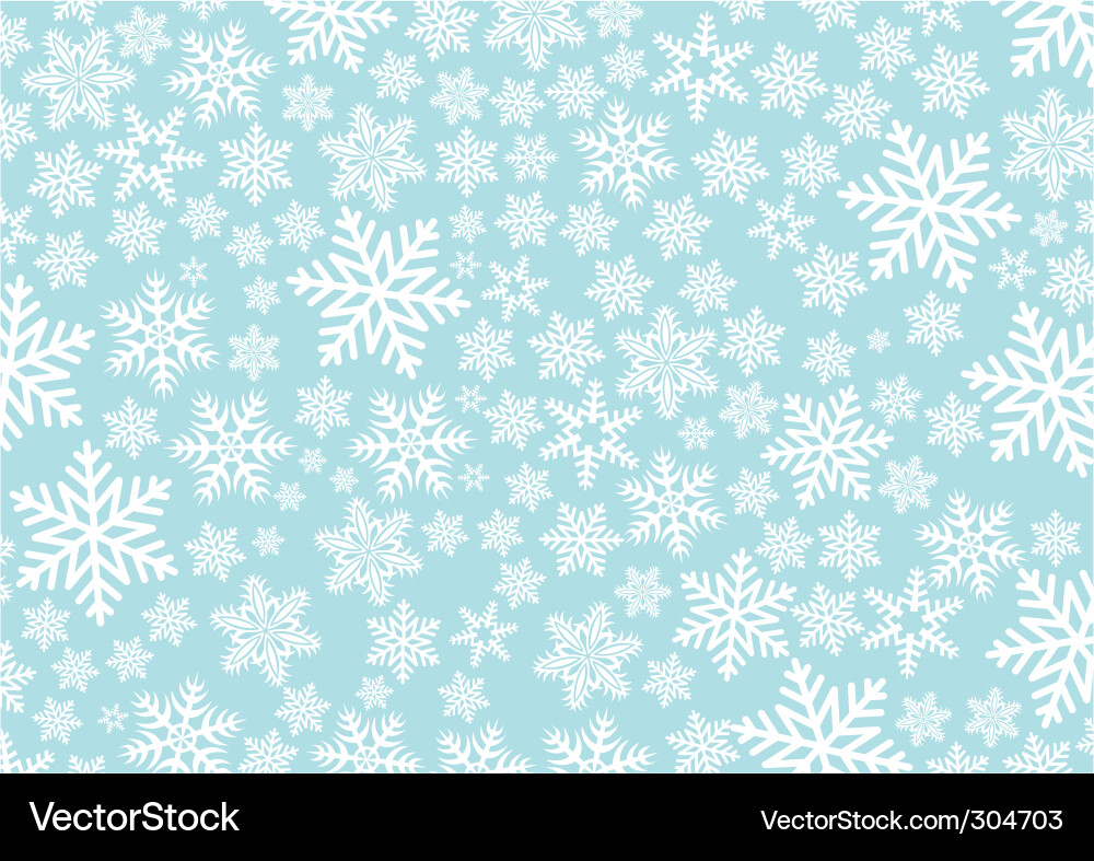 Winter Snowflake Pattern vector image
