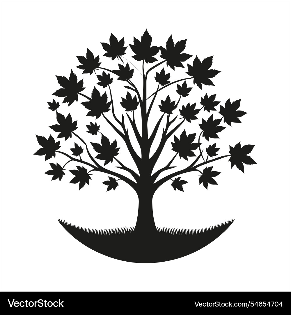 Silhouette maple tree style with background Vector Image