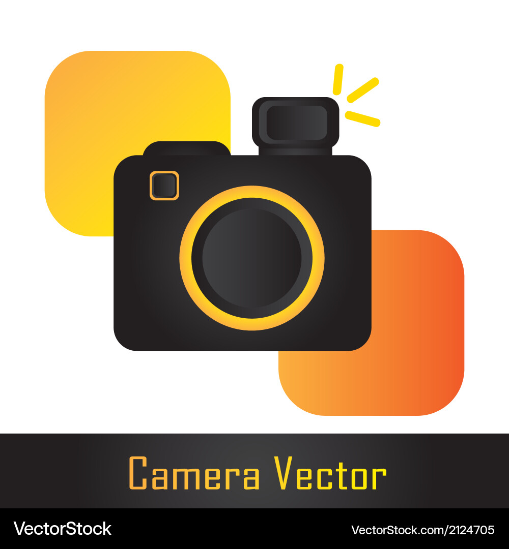 Camera with square over white background Vector Image