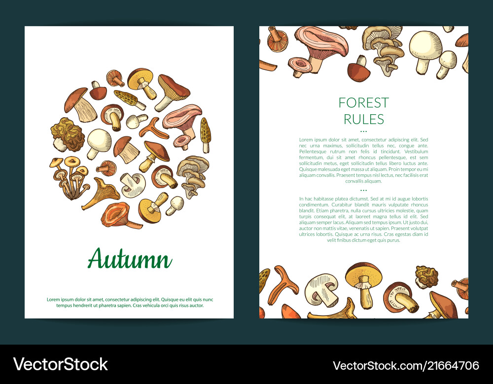 Hand drawn mushrooms card flyer Hand drawn mushrooms card flyer vector image