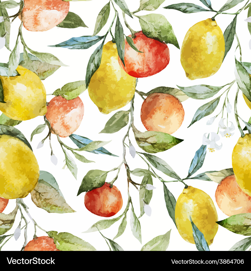 Lemons and oranges Royalty Free Vector Image - VectorStock