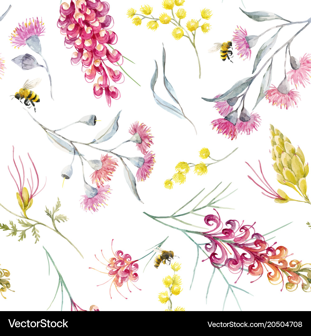 Australian Grevillea Watercolor Pattern vector image