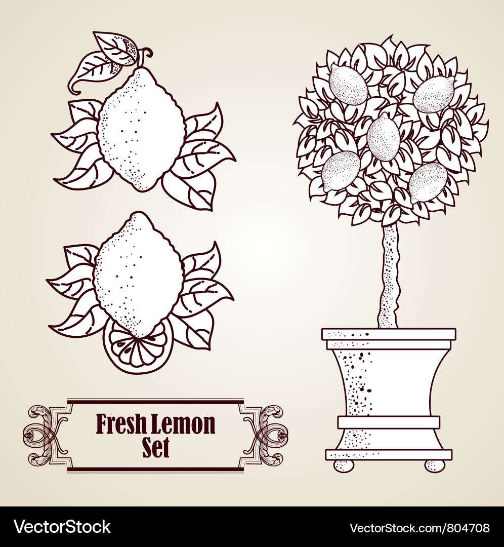 Lemon set in retro style vector image