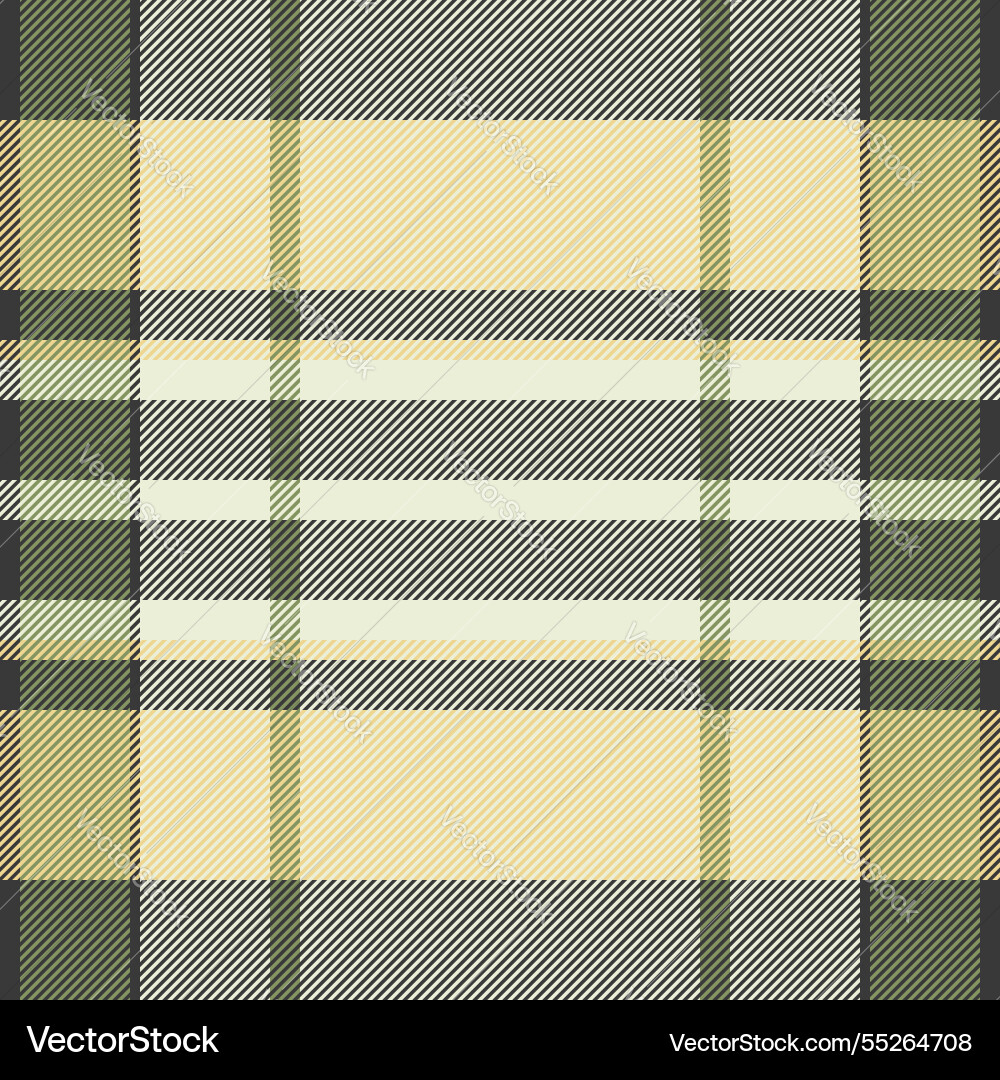 Styling background plaid idea texture check Styling background plaid idea texture check vector image