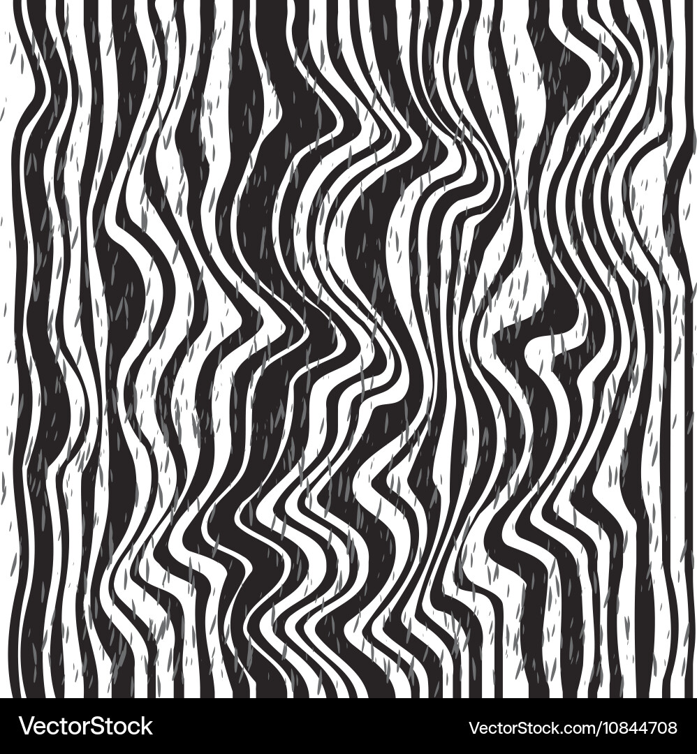 Zebra Stripe Pattern vector image