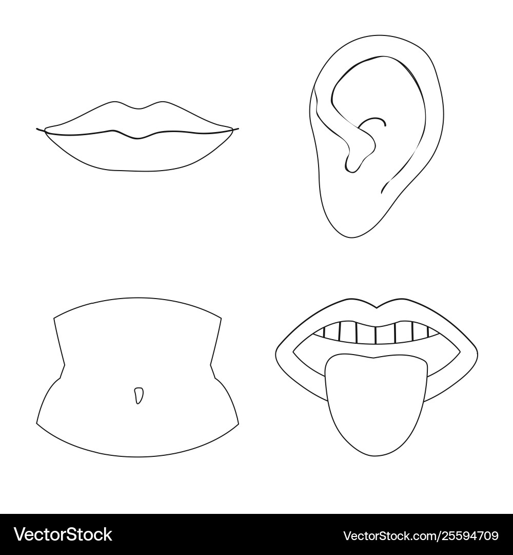 Design body and part symbol set Design body and part symbol set Vector Image