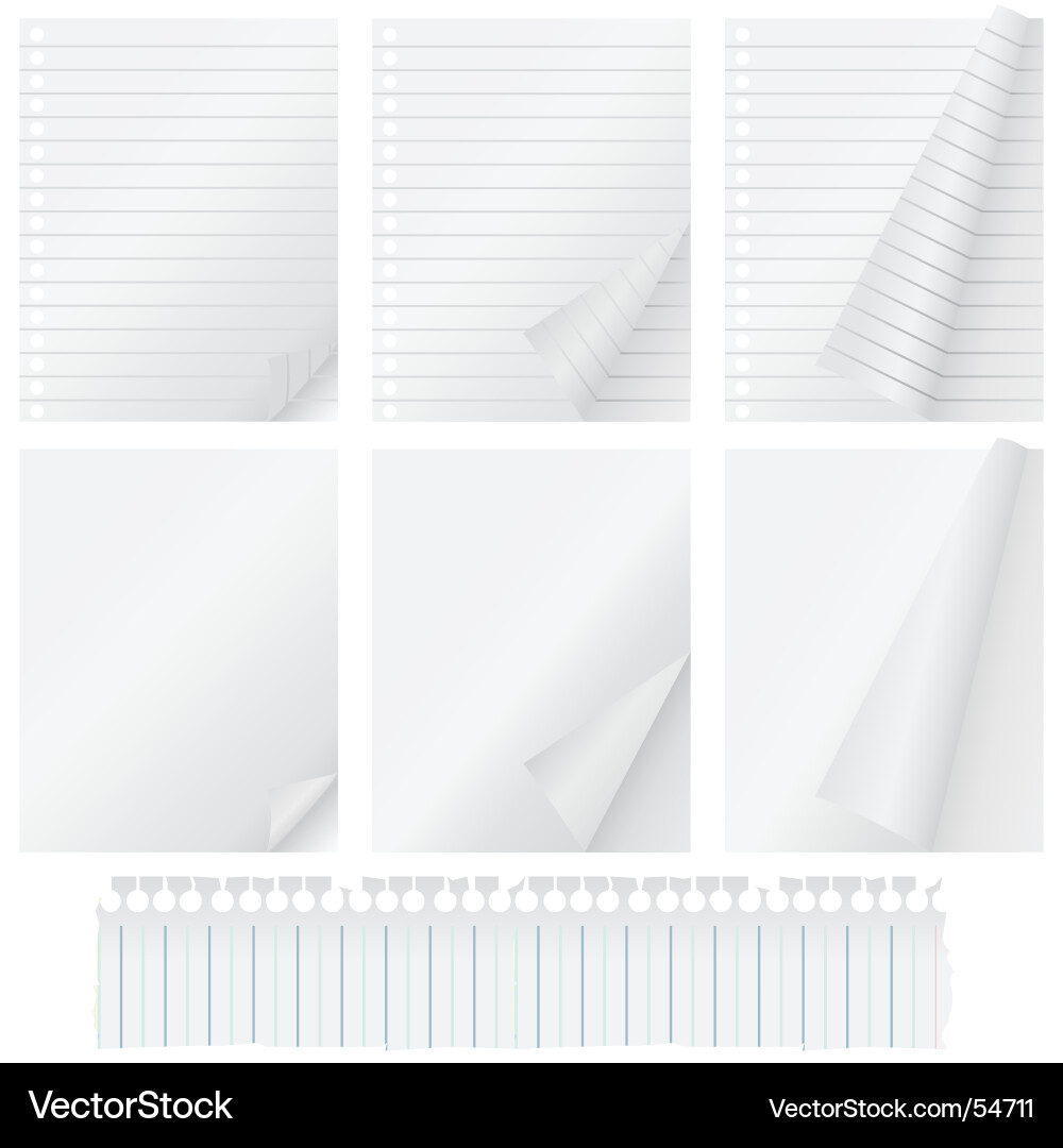 Paper Curl Sheet vector image