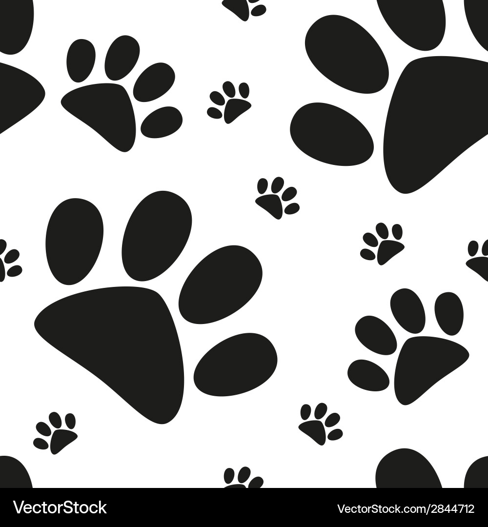Cat Paw Print Seamless Pattern vector image