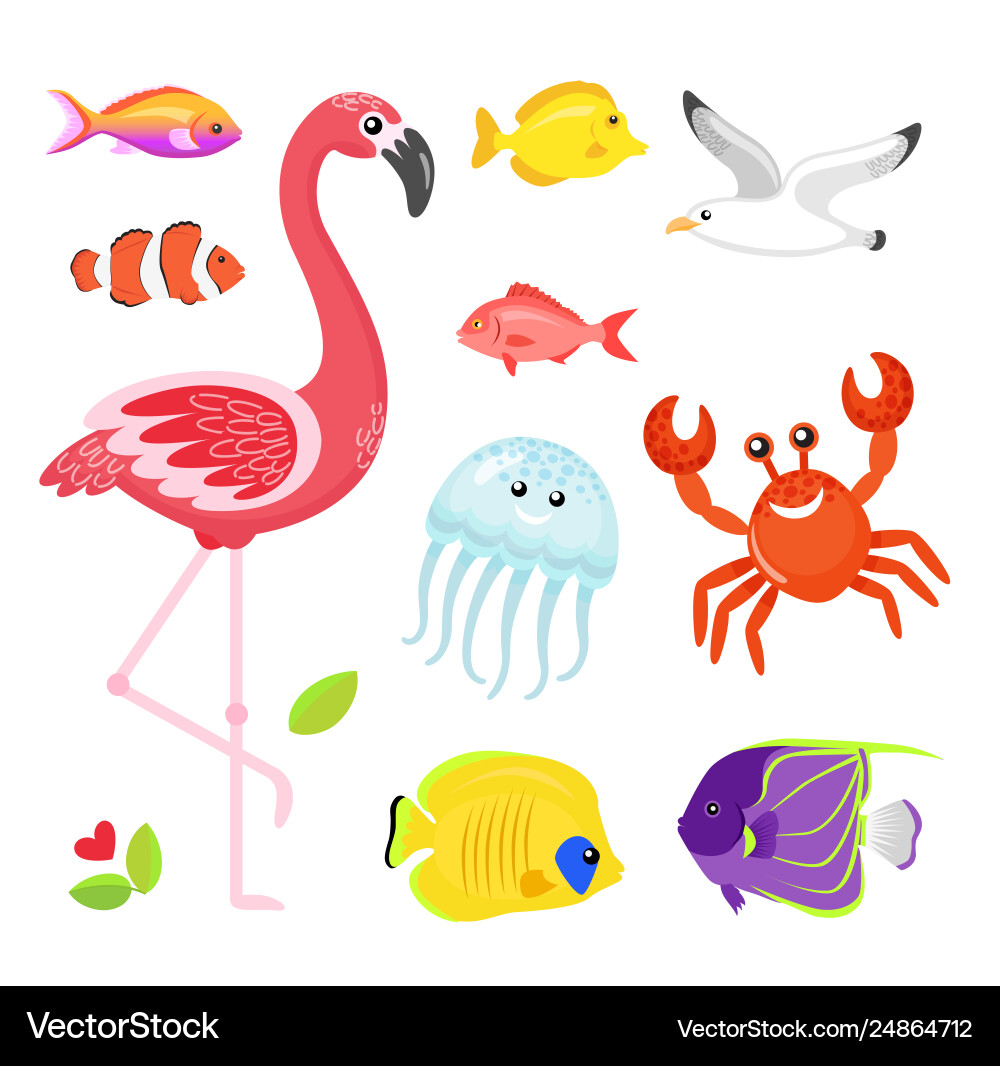 Flamingo, Jellyfish, and Seagull Animals Vector Image