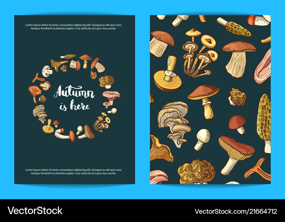 Hand drawn mushrooms card flyer Hand drawn mushrooms card flyer vector image