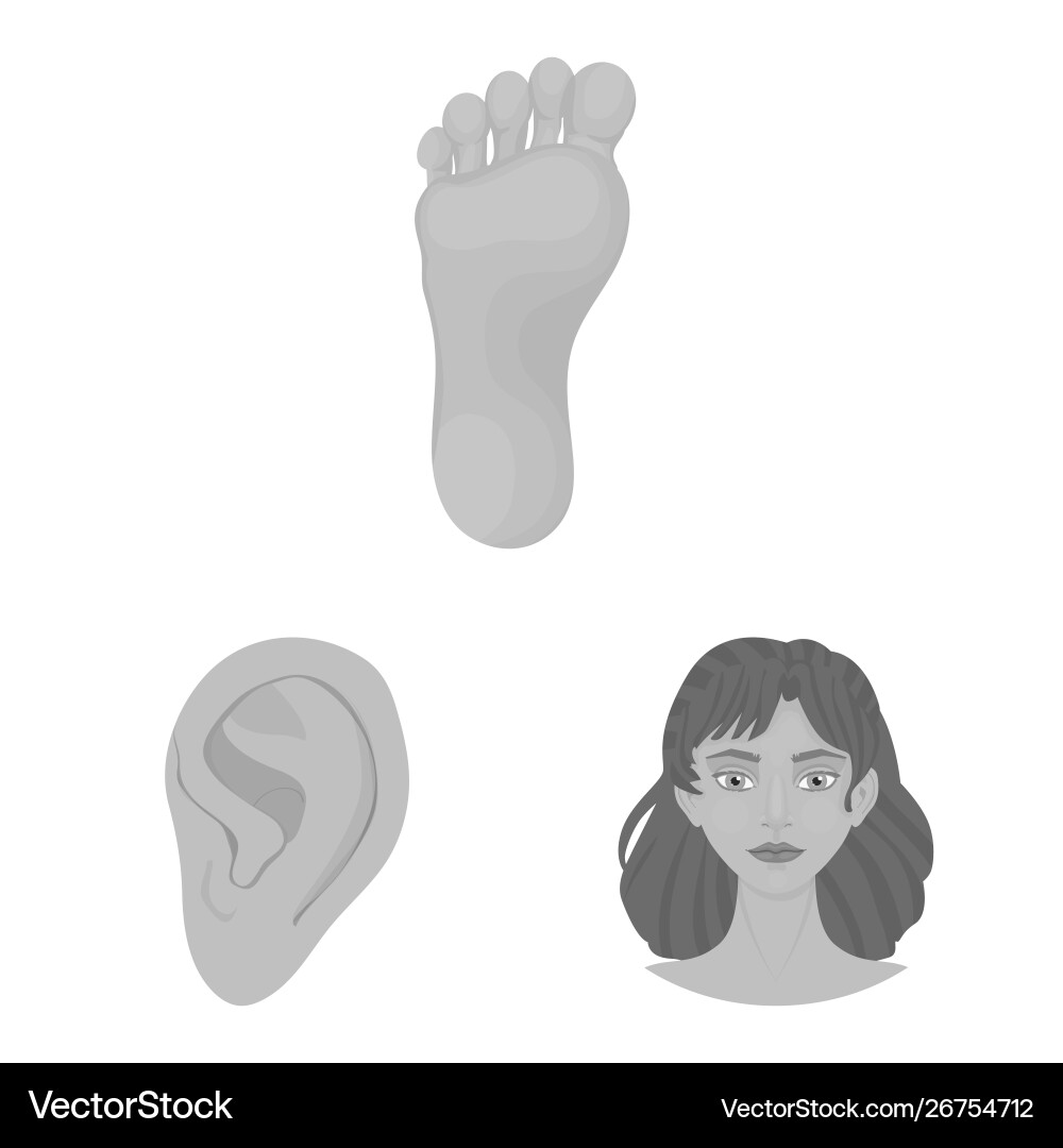 Isolated object body and part logo set Isolated object body and part logo set vector image