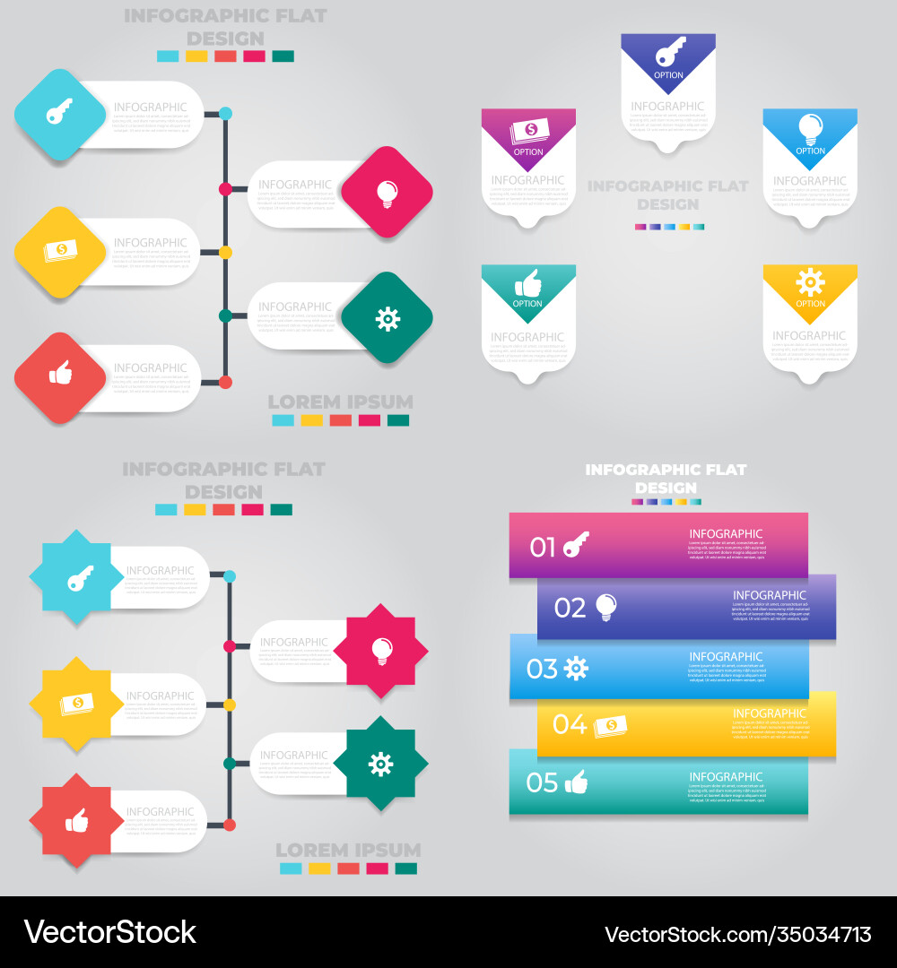 Data Visualization Process Chart vector image