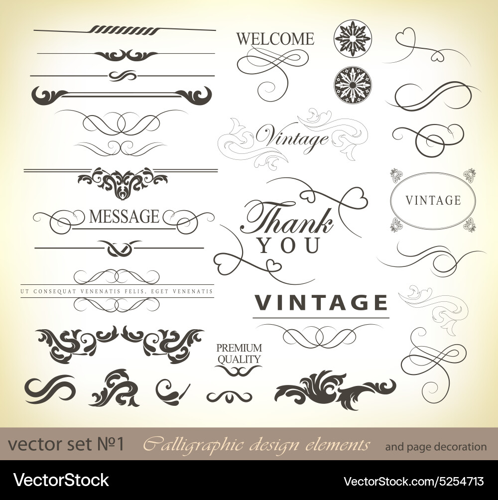 Elegant Calligraphic Elements Vector Image