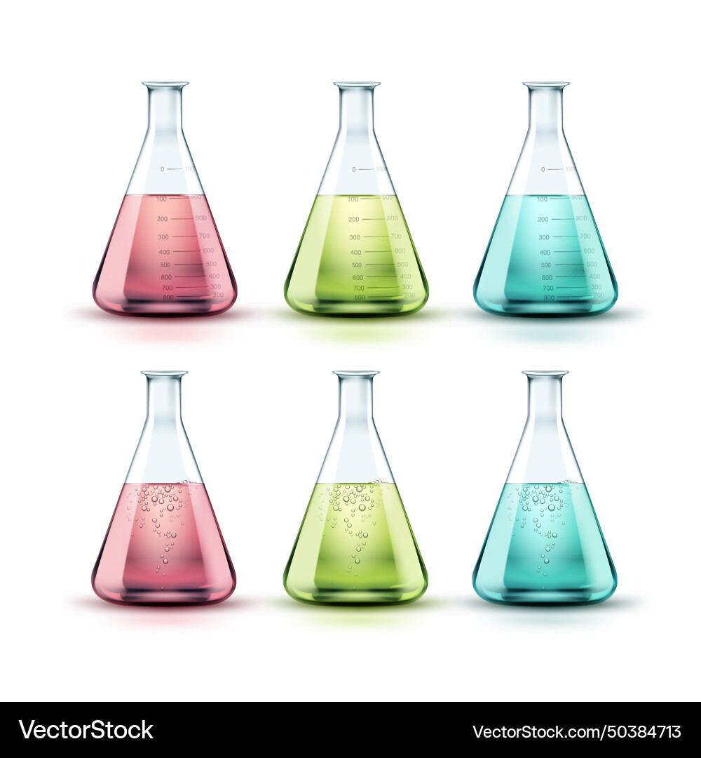 Set of flasks Vector Image