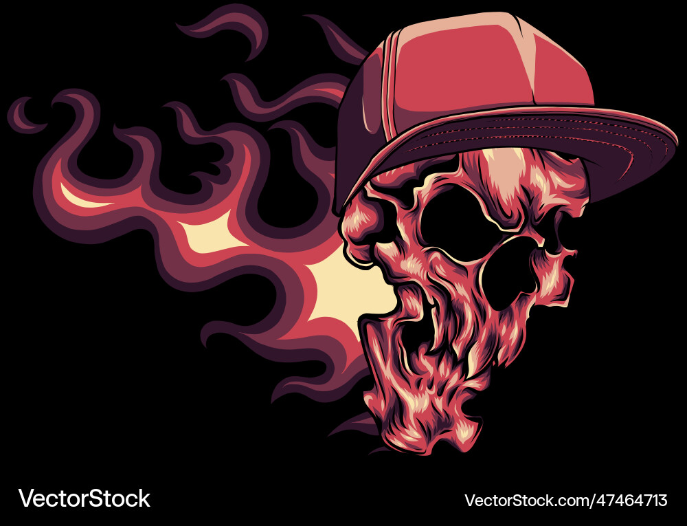 Skull head with hip pop hat and flames on black Vector Image