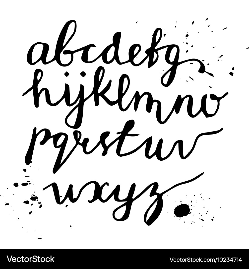 Handwritten brush script vector image