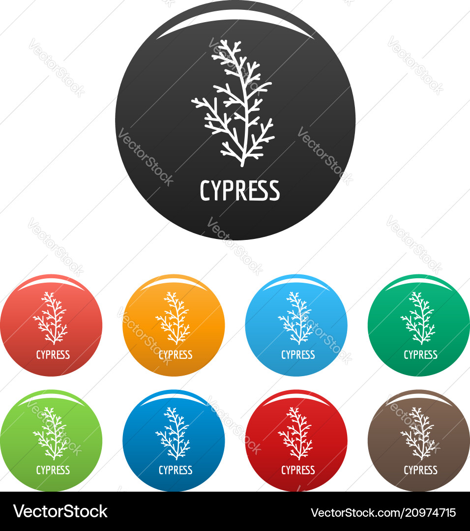 Cypress leaf icons set color Cypress leaf icons set color vector image