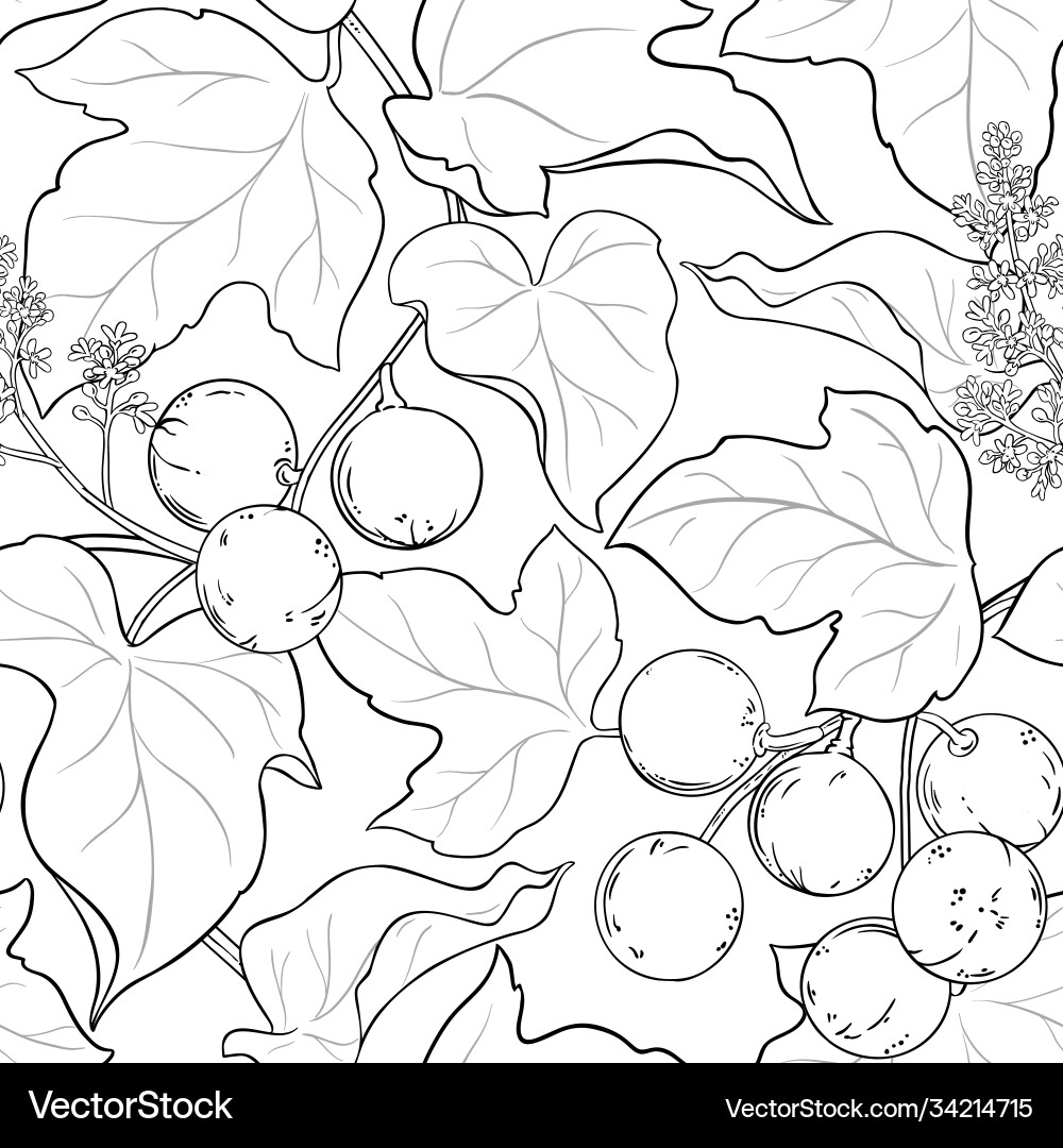 Kukui branches pattern on white background Kukui branches pattern on white background vector image