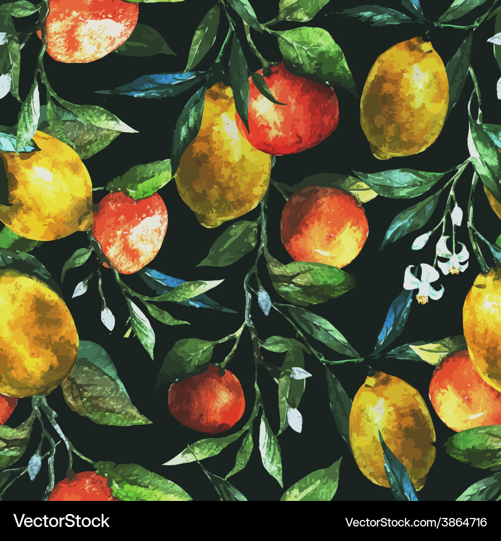 Lemons and oranges Royalty Free Vector Image - VectorStock