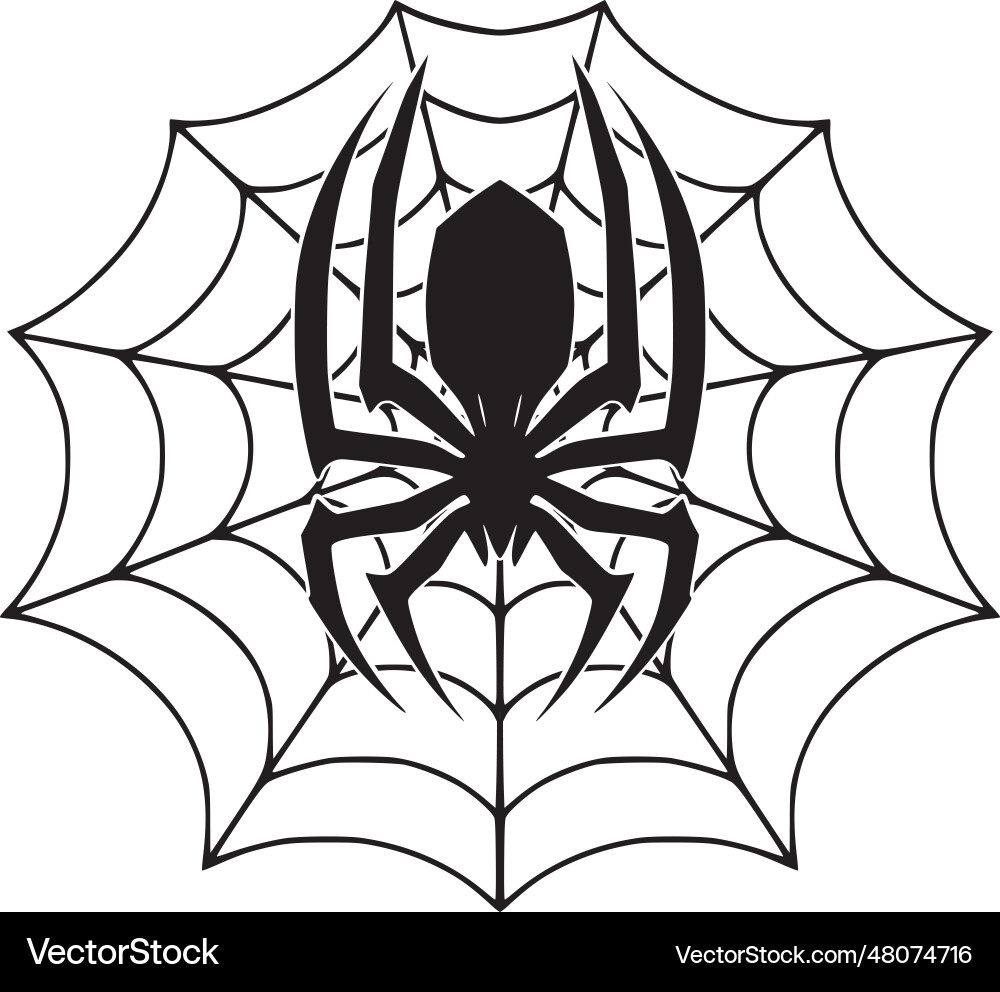 Spider on cobweb image Vector Image