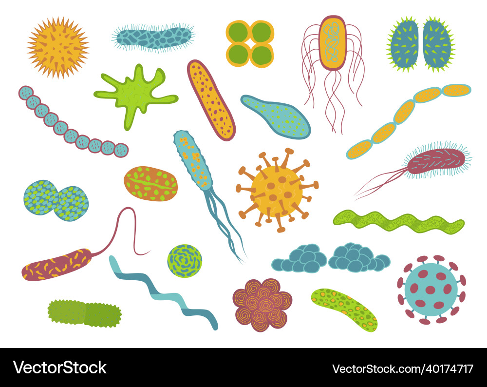 Flat design germs and bacteria icons set isolated Flat design germs and bacteria icons set isolated Vector Image