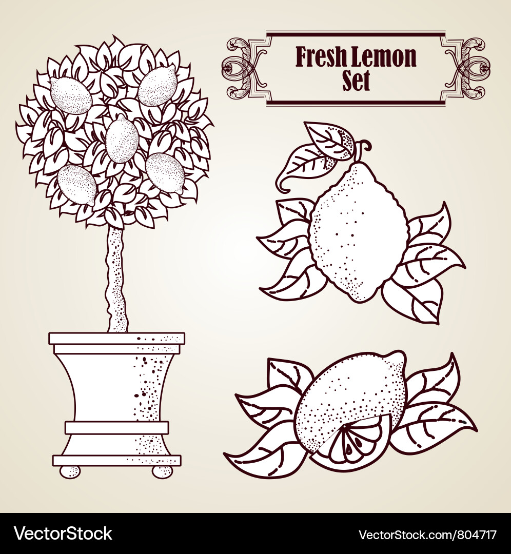 Lemon set in retro style vector image