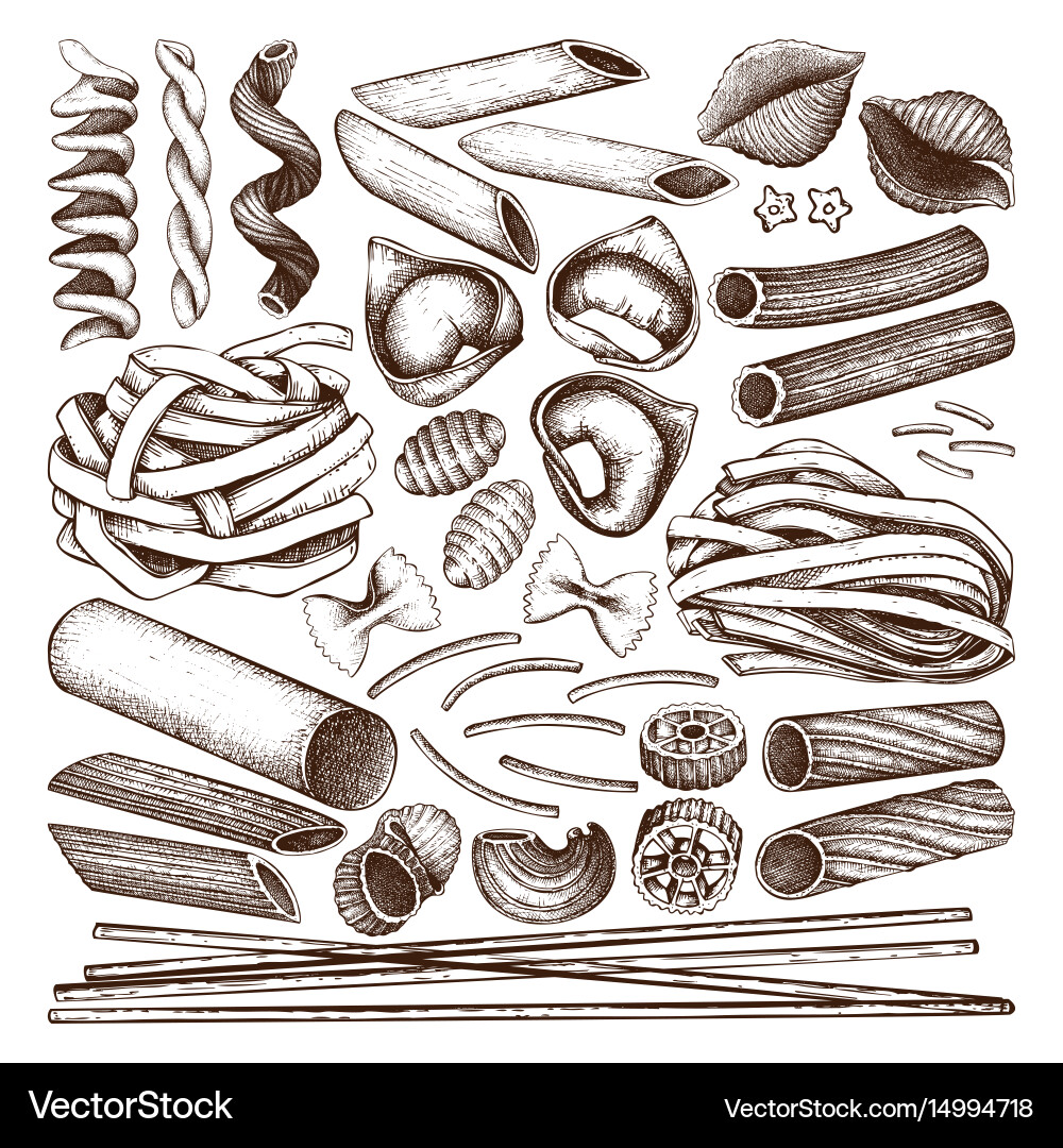Fettuccine Pasta Vector Images (over 1,500)