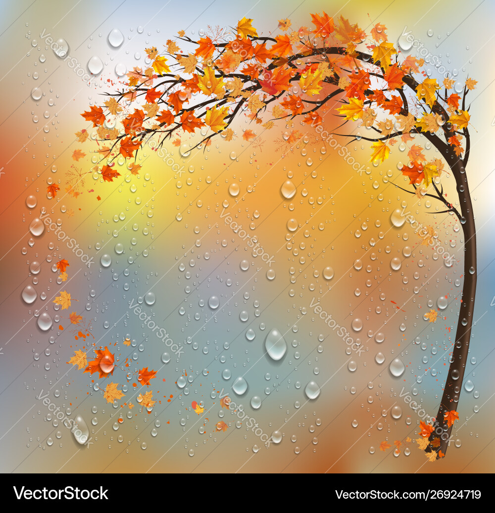 Autumn Tree Raindrops Background vector image