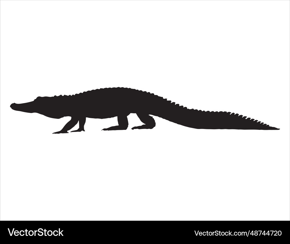 Alligator silhouette art Alligator silhouette art vector image