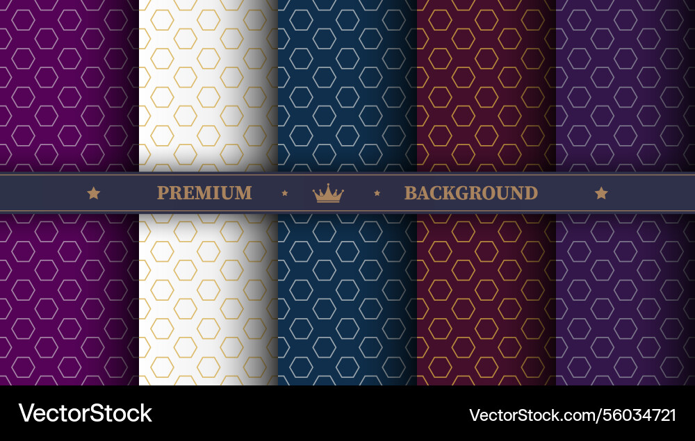 A luxurious pattern set of spectacular patterns A luxurious pattern set of spectacular patterns vector image