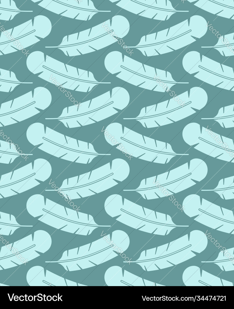 Feather pattern seamless bird background vector image