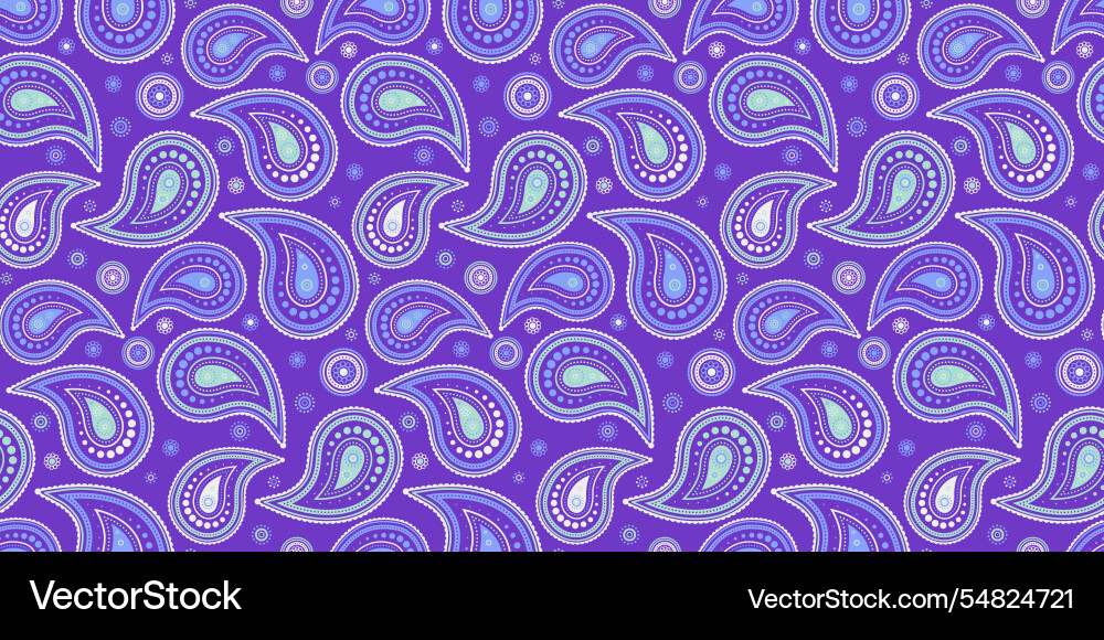 Indian cucumber rectangle a complexity intricate Vector Image