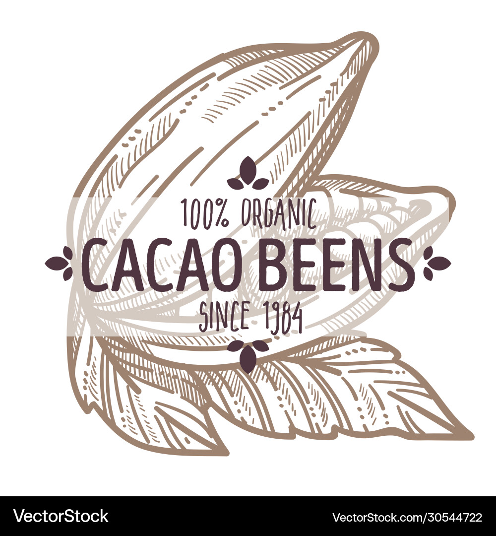 Cacao beans organic ingredients monochrome emblem vector image