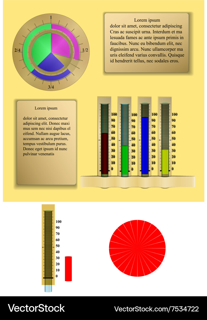 Infographic pie chart graph with scale vector image