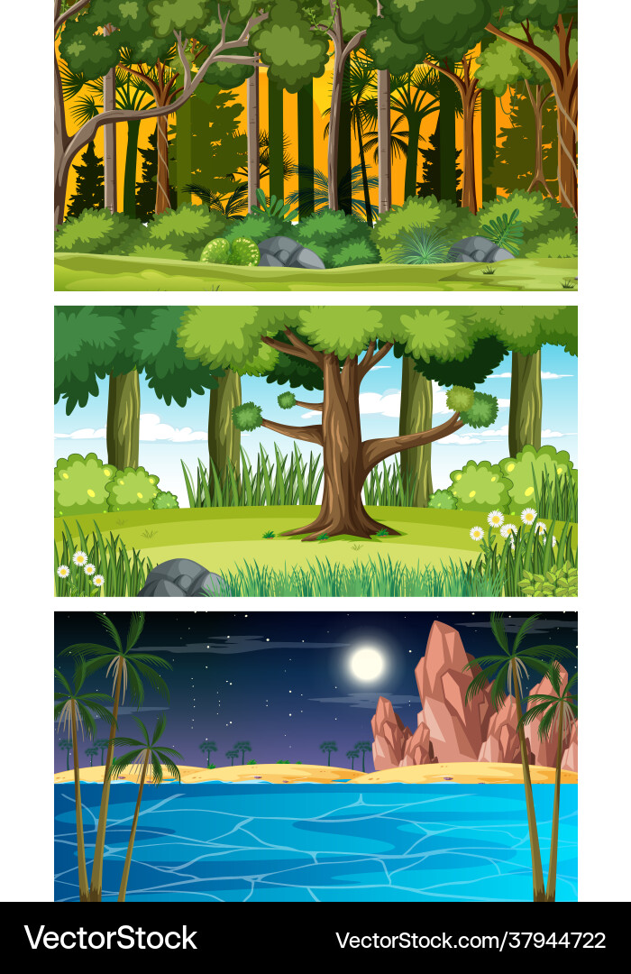 Set different types forest horizontal scenes Vector Image