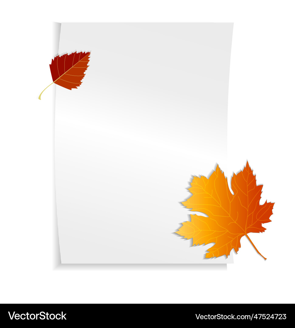 White sheet of a4 paper with space for text vector image
