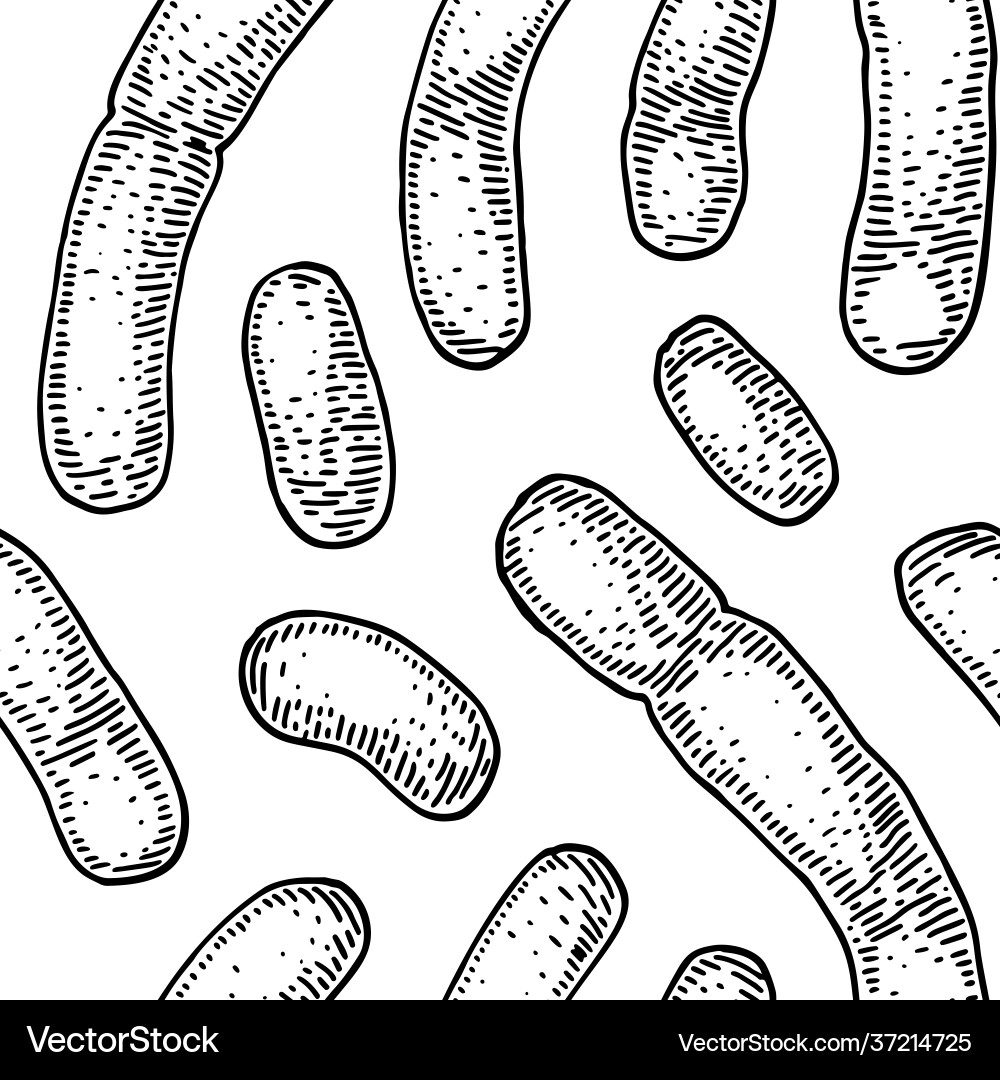 Bacterium seamless pattern in realistic sketch Bacterium seamless pattern in realistic sketch Vector Image