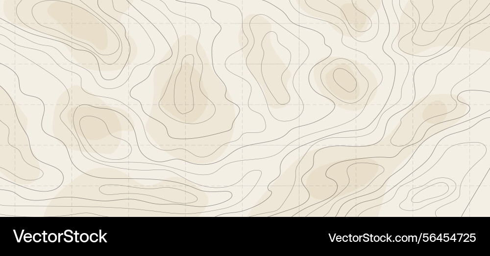 Topography map line contour territory abstract Vector Image