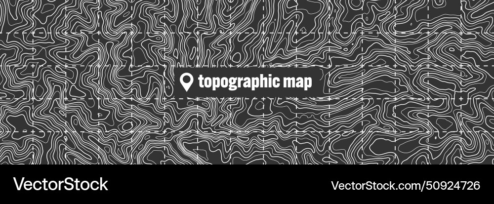 Topographic map with contour lines geographic Topographic map with contour lines geographic vector image