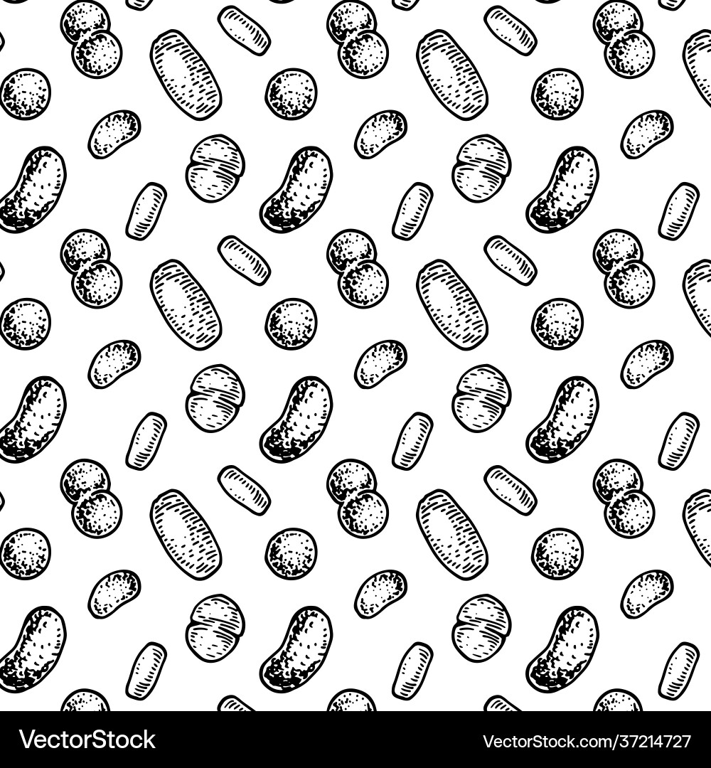 Bacterium seamless pattern in realistic sketch Vector Image