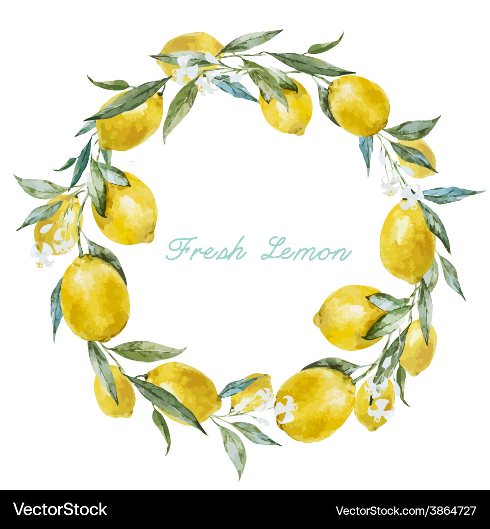 Watercolor Lemon Frame Vector Image