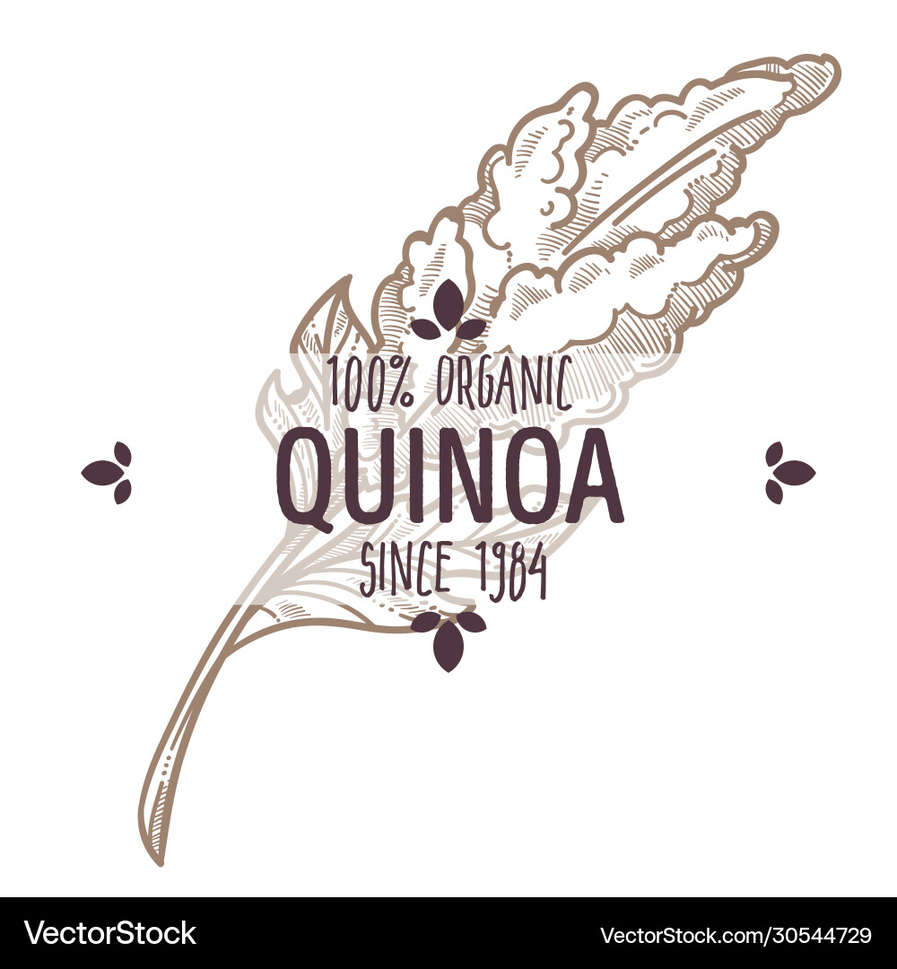 Quinoa Bio-Lebensmittel Emblem Mahlzeit monochrome Etikett Quinoa Bio-Lebensmittel Emblem Mahlzeit monochrome Etikett vektorbild