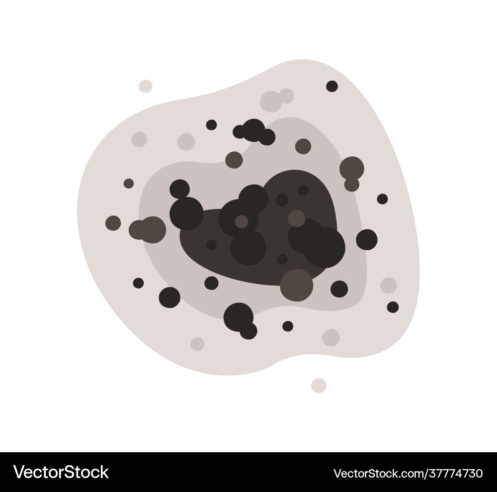 Black mold spot toxic spores fungi Black mold spot toxic spores fungi vector image