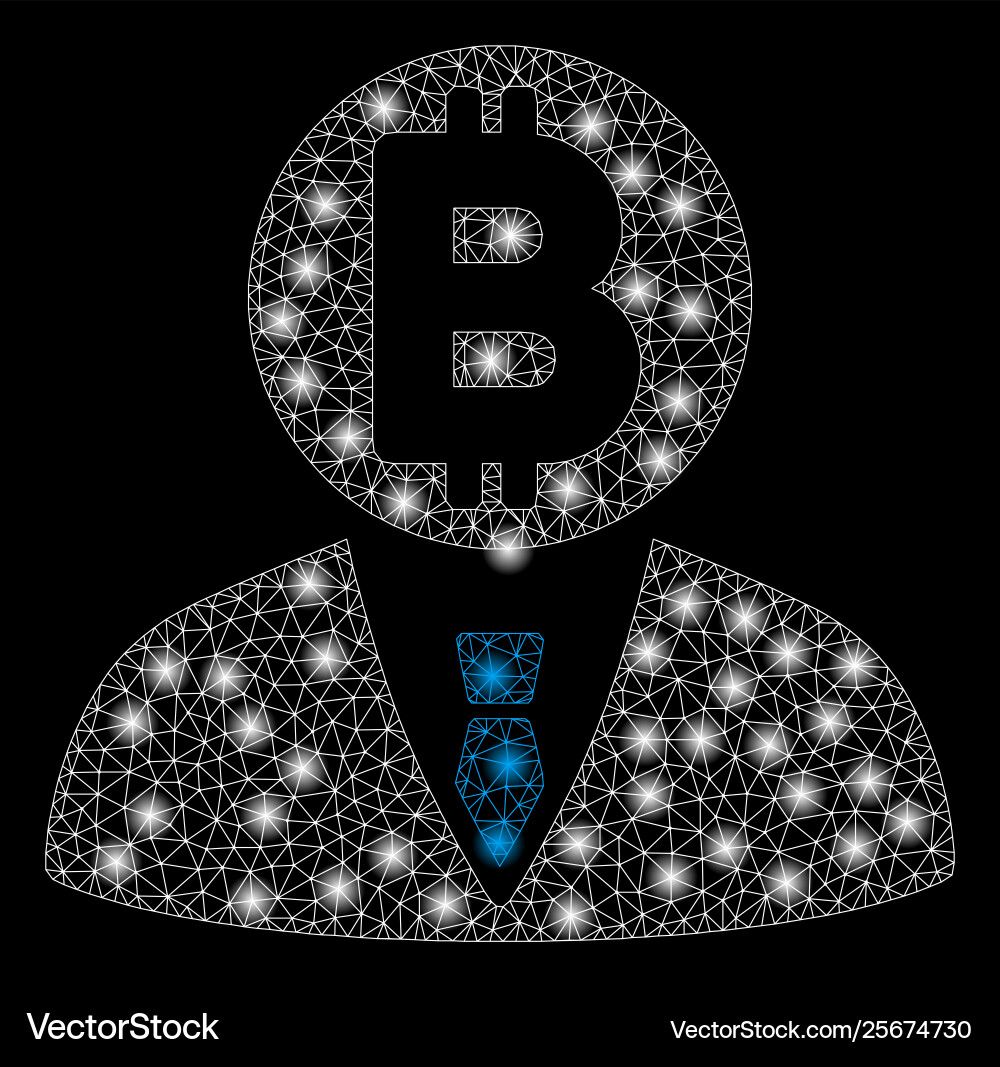 Bright mesh network bitcoin manager with light Bright mesh network bitcoin manager with light vector image