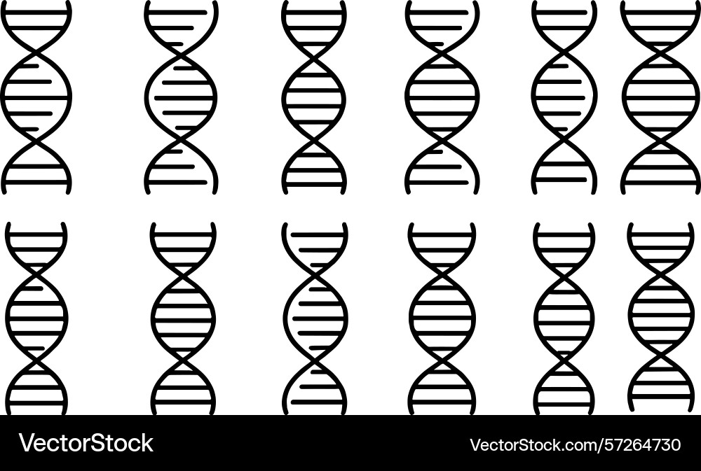 Dna helix patterns created in a grid layout Dna helix patterns created in a grid layout vector image