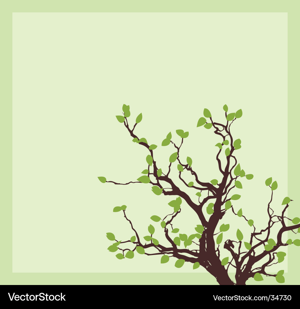 Lone Spring Tree Silhouette vector image