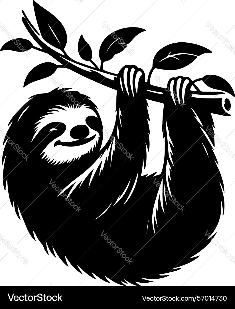 Sloth on a branch Vector Image