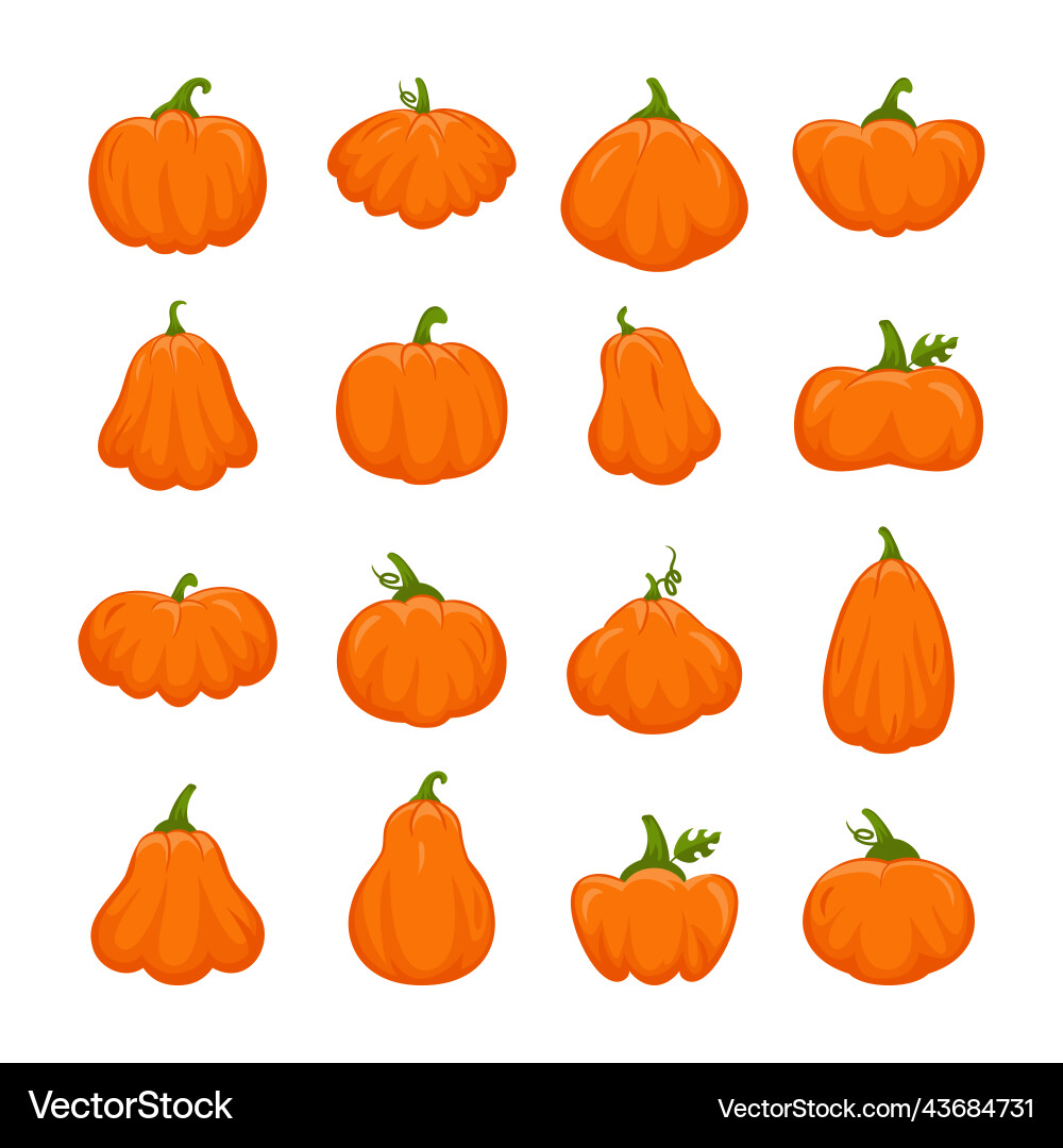 Cute halloween pumpkins fall vegetables gourd Cute halloween pumpkins fall vegetables gourd vector image